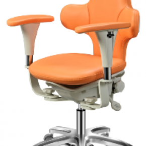 Height Adjustable Surgical Dental Doctor Chair