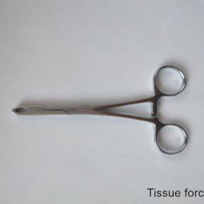 Tissue forceps ENT Instruments 